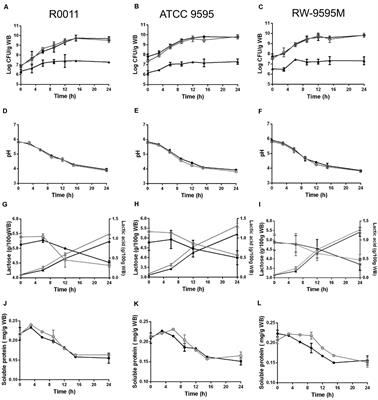 Fermentation of Wheat Bran and Whey Permeate by Mono-Cultures of Lacticaseibacillus rhamnosus Strains and Co-culture With Yeast Enhances Bioactive Properties